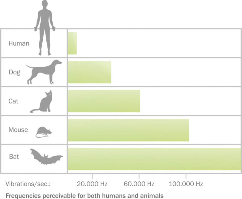 sound frequency chart