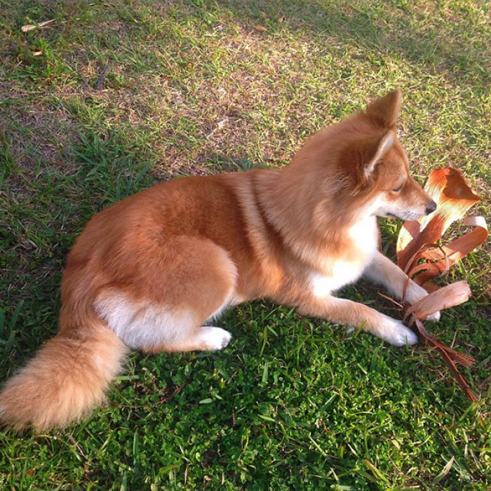 They enjoy spending time outdoors.