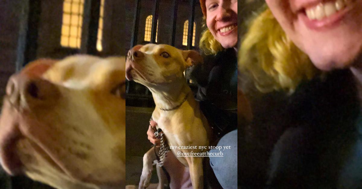 Dog Rescued From NYC Subway