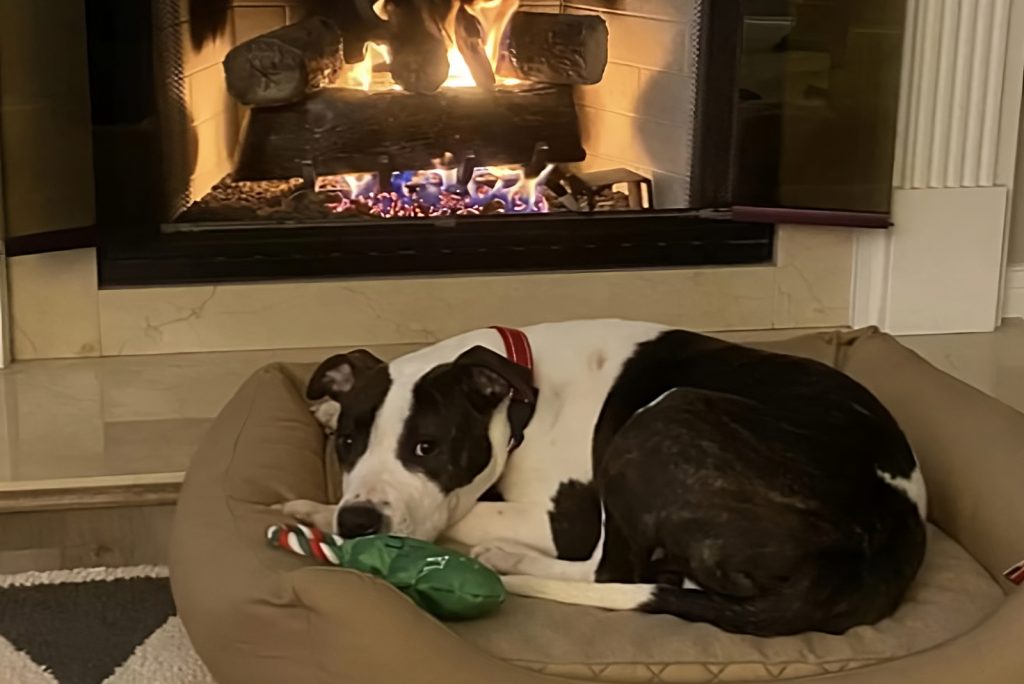 Peterbilt cozying up to a warm fireplace