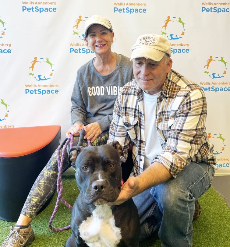 a smiling elderly couple is holding a dog on a leash