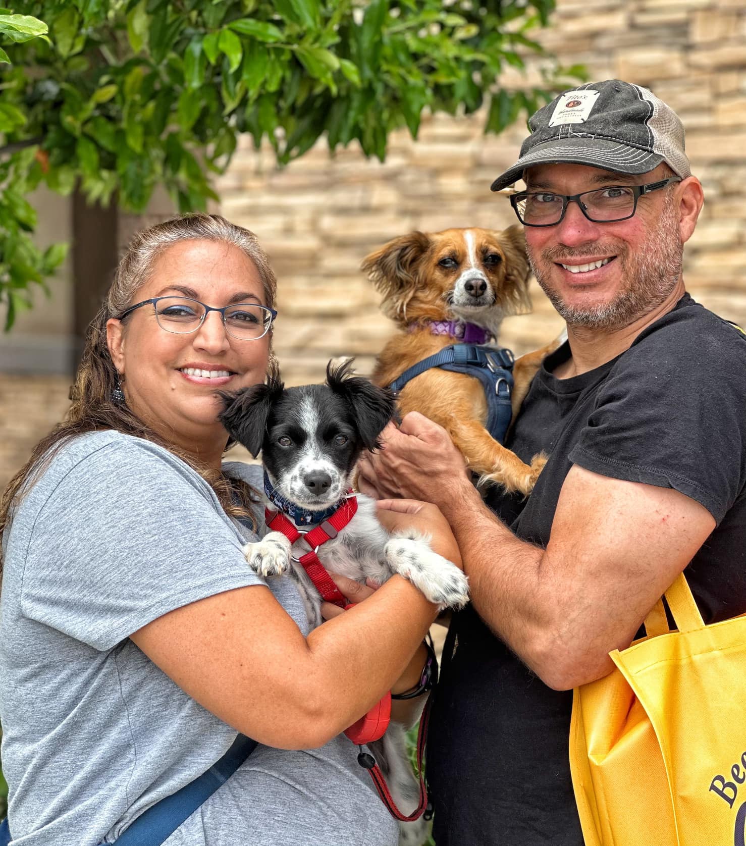 couple with two dogs