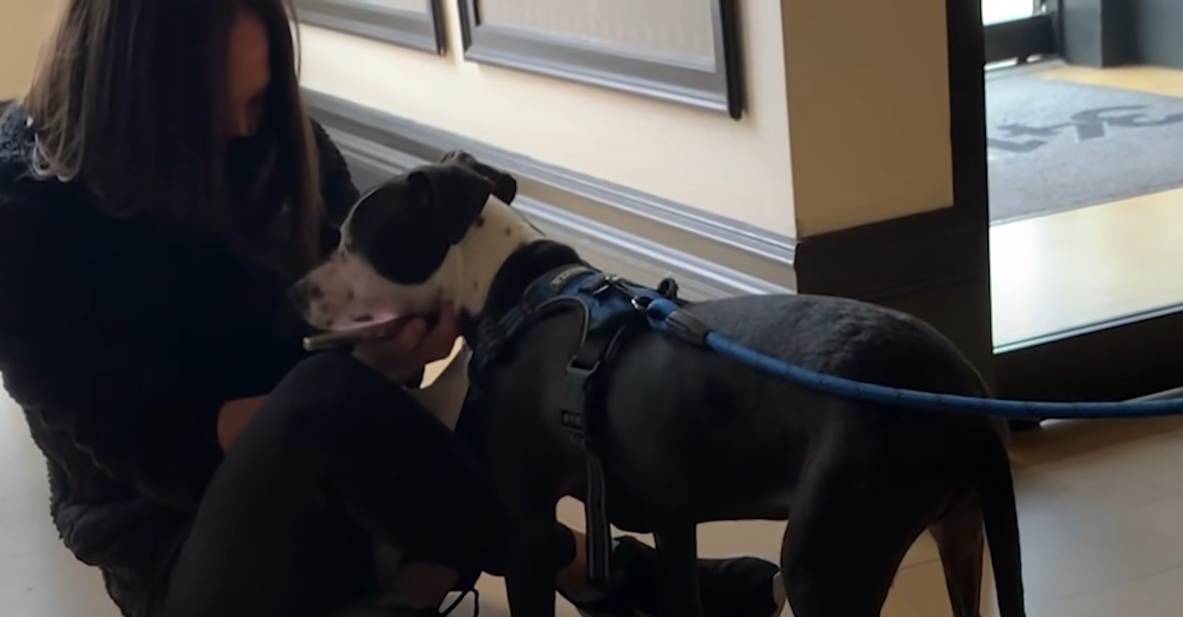 dog on a leash with a woman