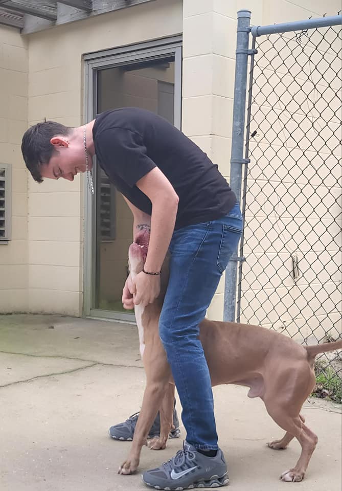 guy playing with his dog