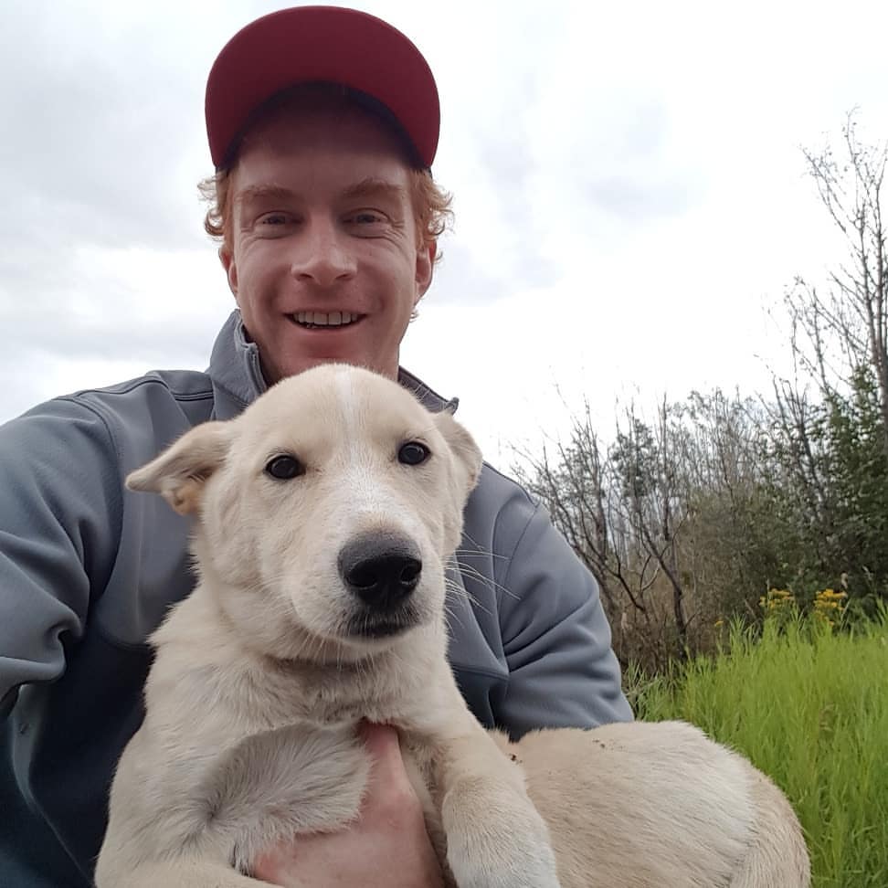 man holding the injured dog