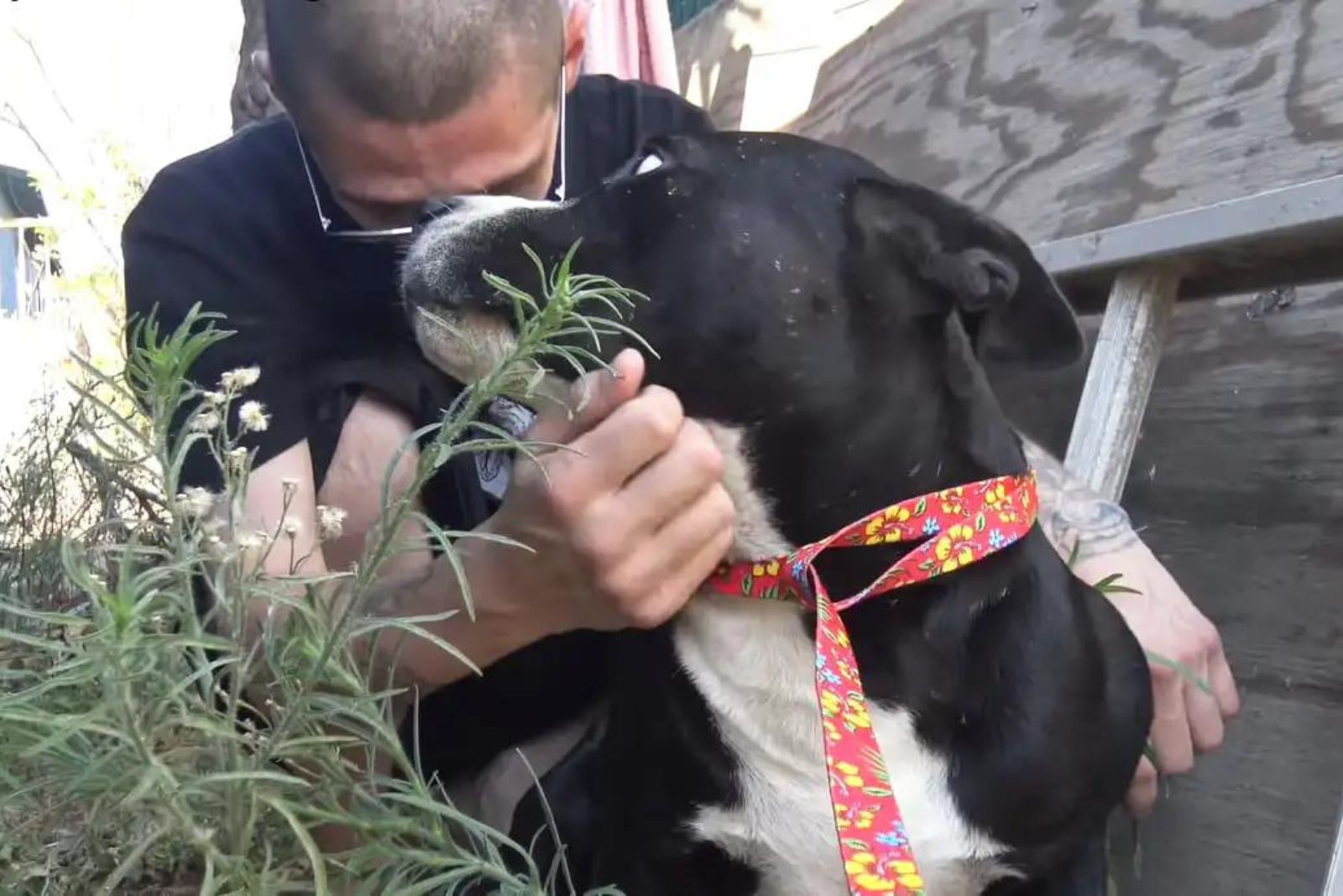 photo of man and a dog