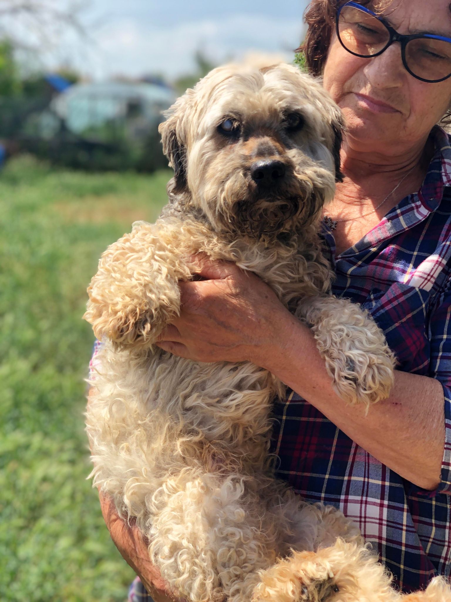 woman holding a dog with nice fur