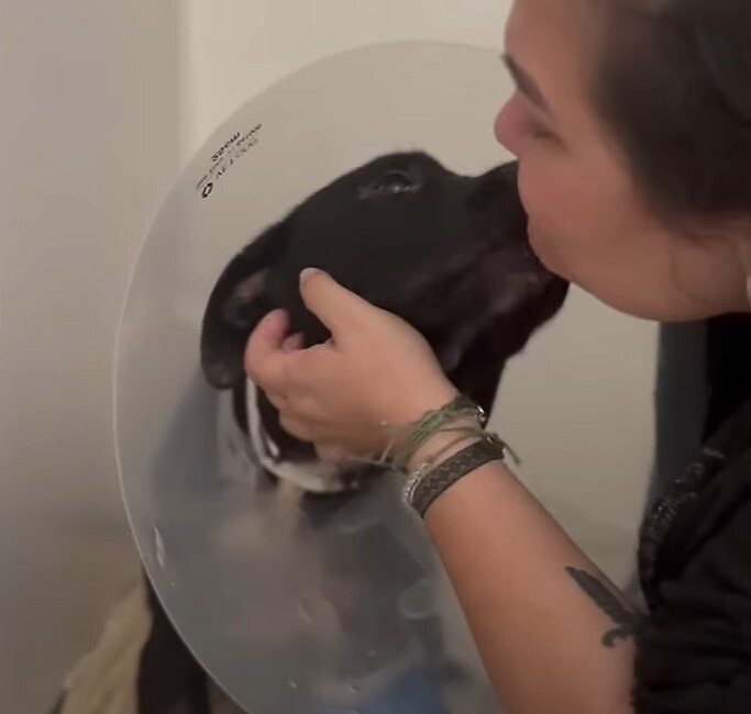 woman kissing black dog