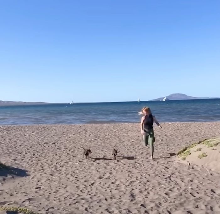 woman running with puppies on the beach