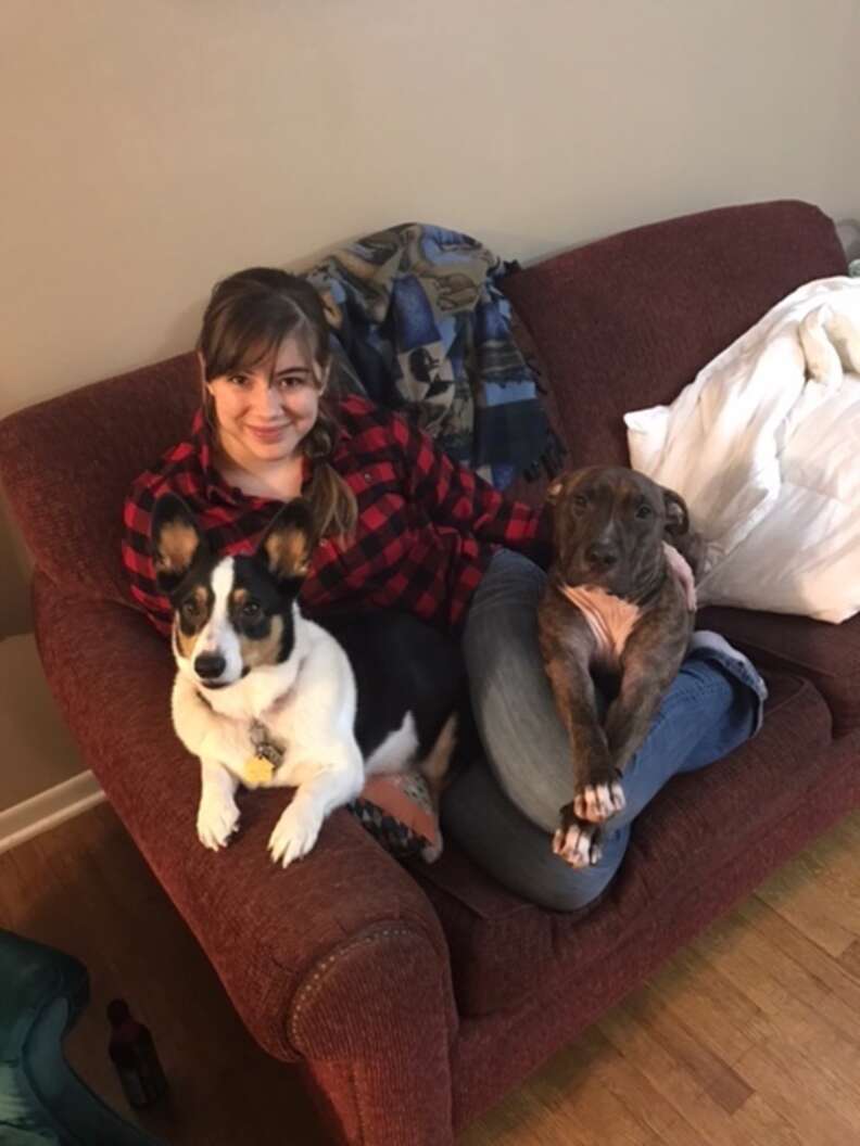 rescue dog hugs his mom every day when she gets home