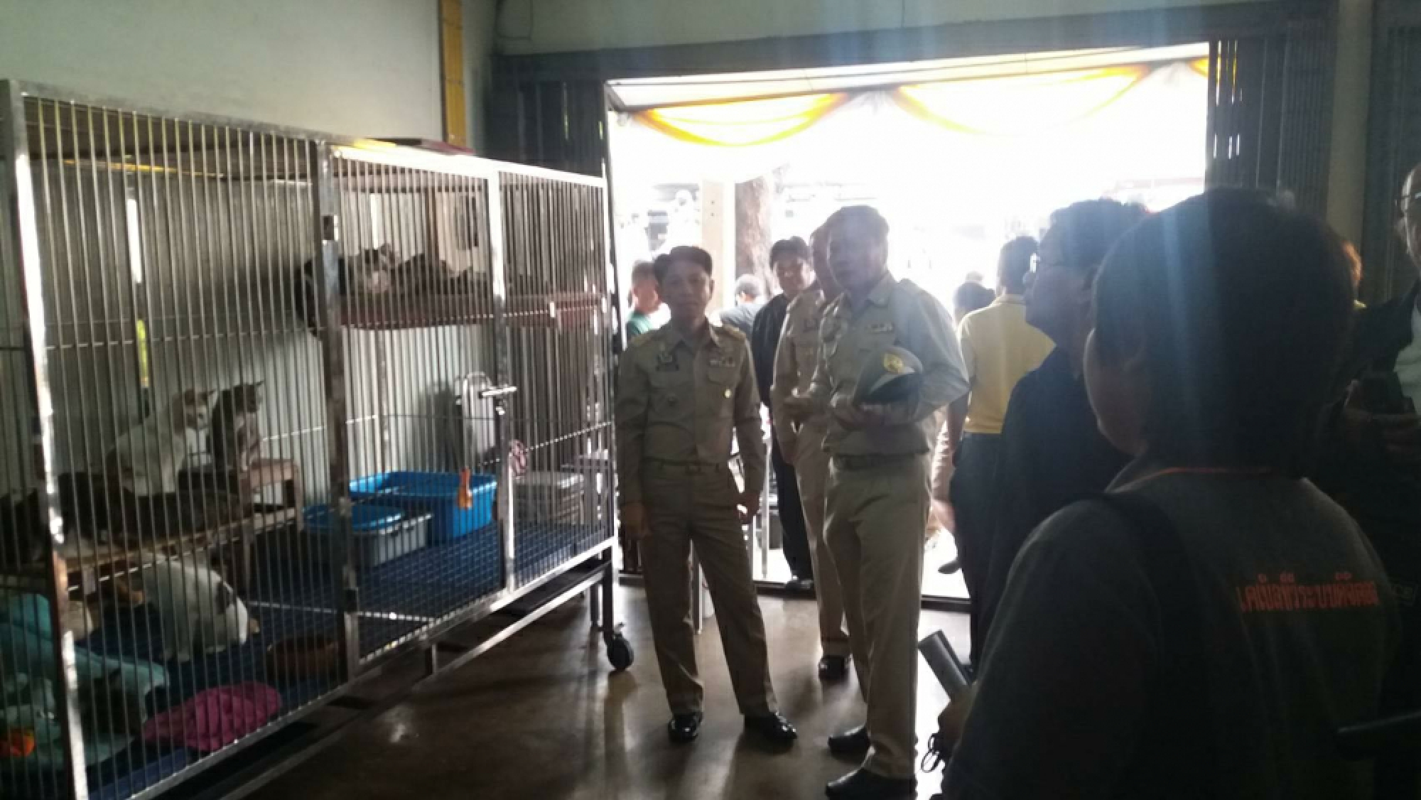 His Majesty grants help to Tay-tay, the two-legged dog of Chon Buri