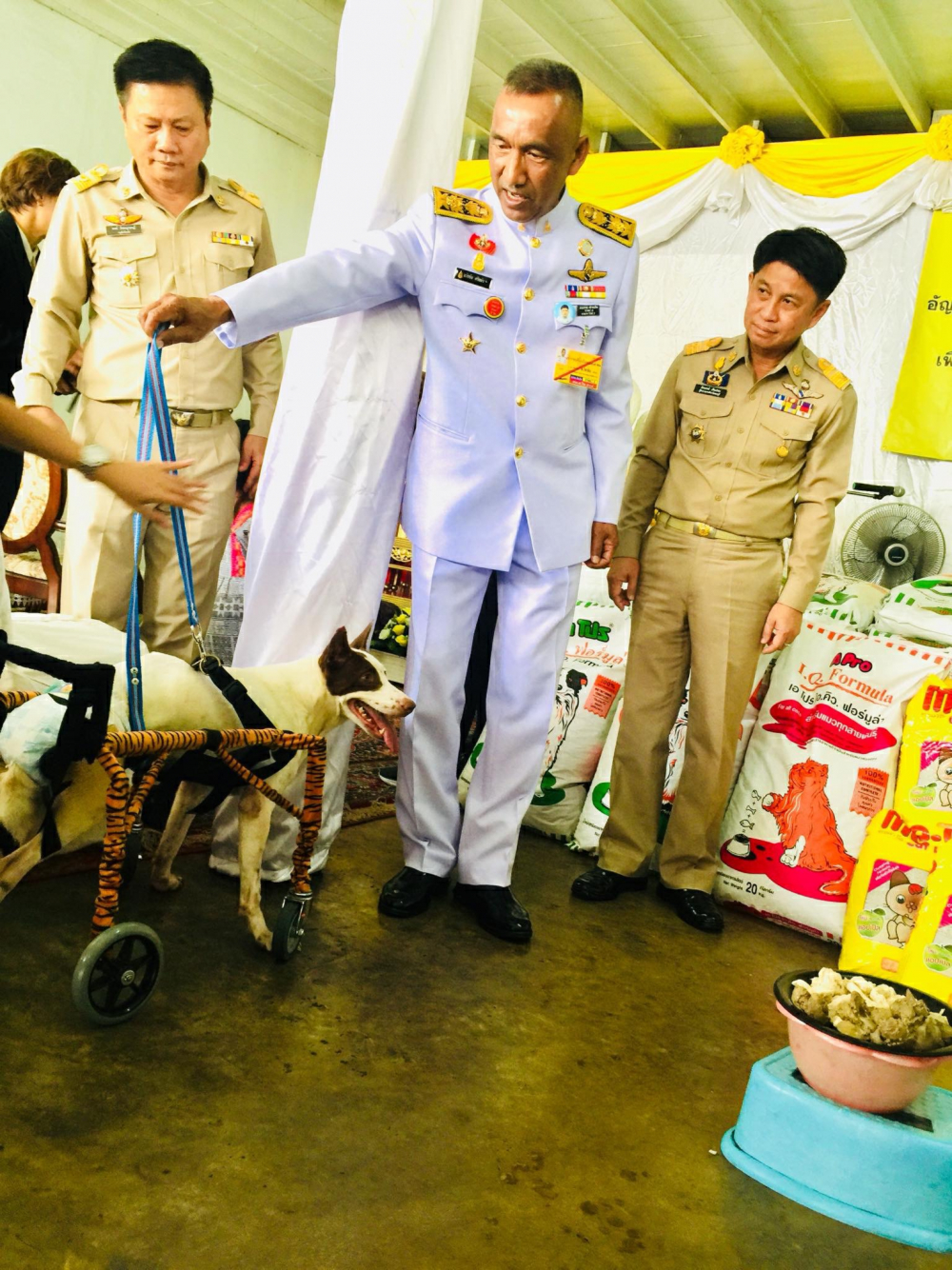 His Majesty grants help to Tay-tay, the two-legged dog of Chon Buri