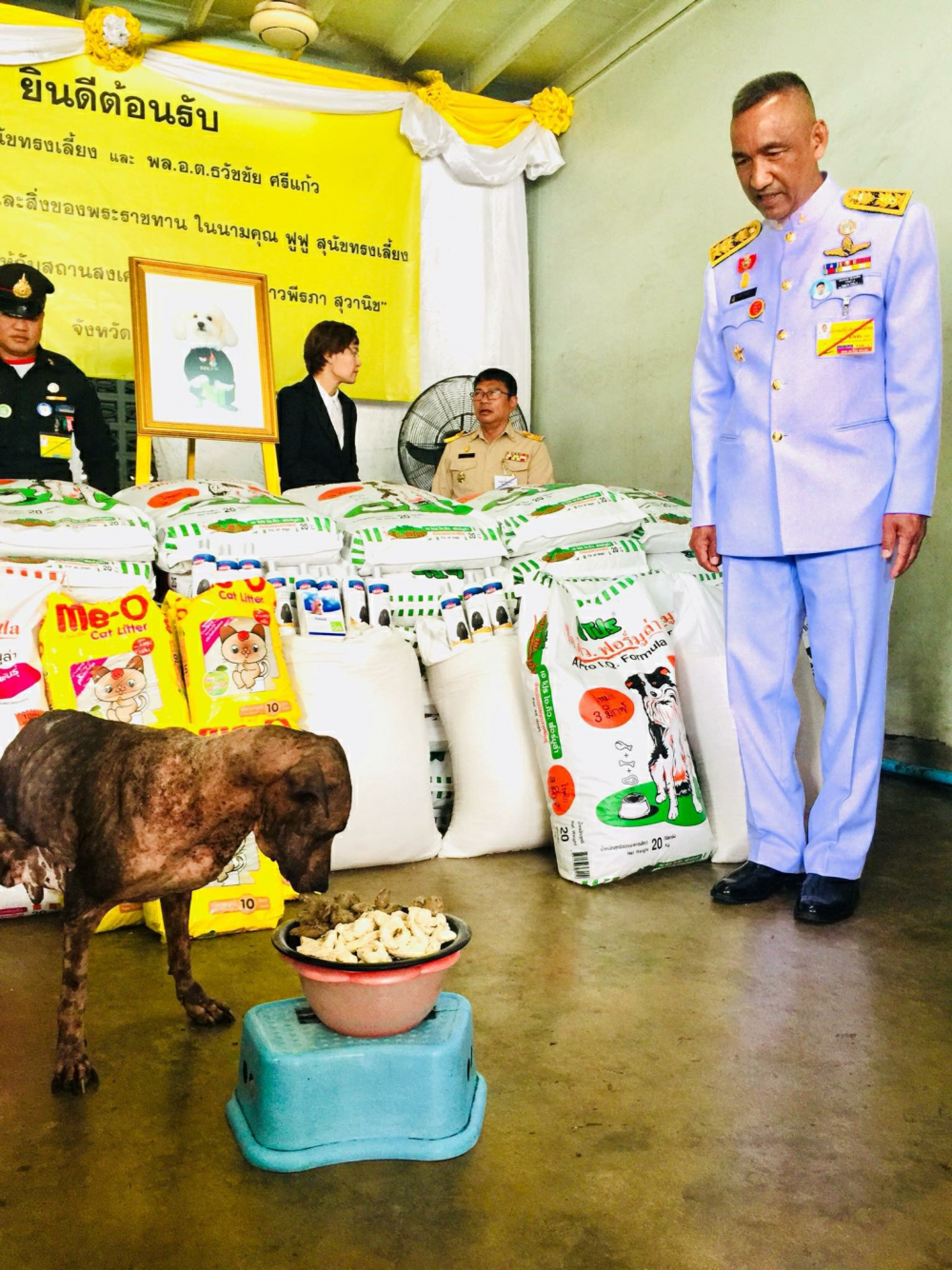 His Majesty grants help to Tay-tay, the two-legged dog of Chon Buri