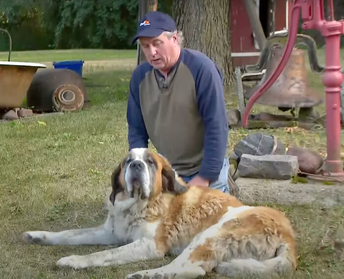 Bachelor Party Takes Unexpected Twist When They Hear Dog Barking In The Mud