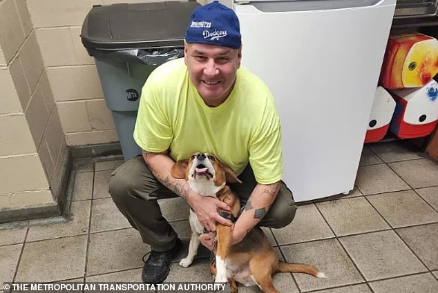 MTA employees James Dineen found Blue at a southbound D train platform in Brooklyn on December 6