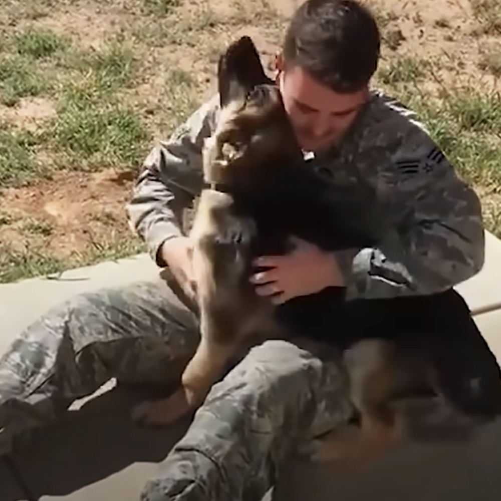 Soldier reunited with dog