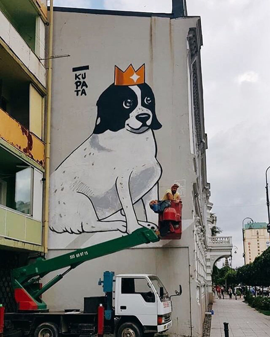 This Dog Comes Here Every Day And Helps Kindergarten Kids Safely Cross The Street