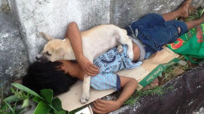 Foto Anak Jalanan yang Tidur dengan Seekor Anjing Hebohkan Netizen